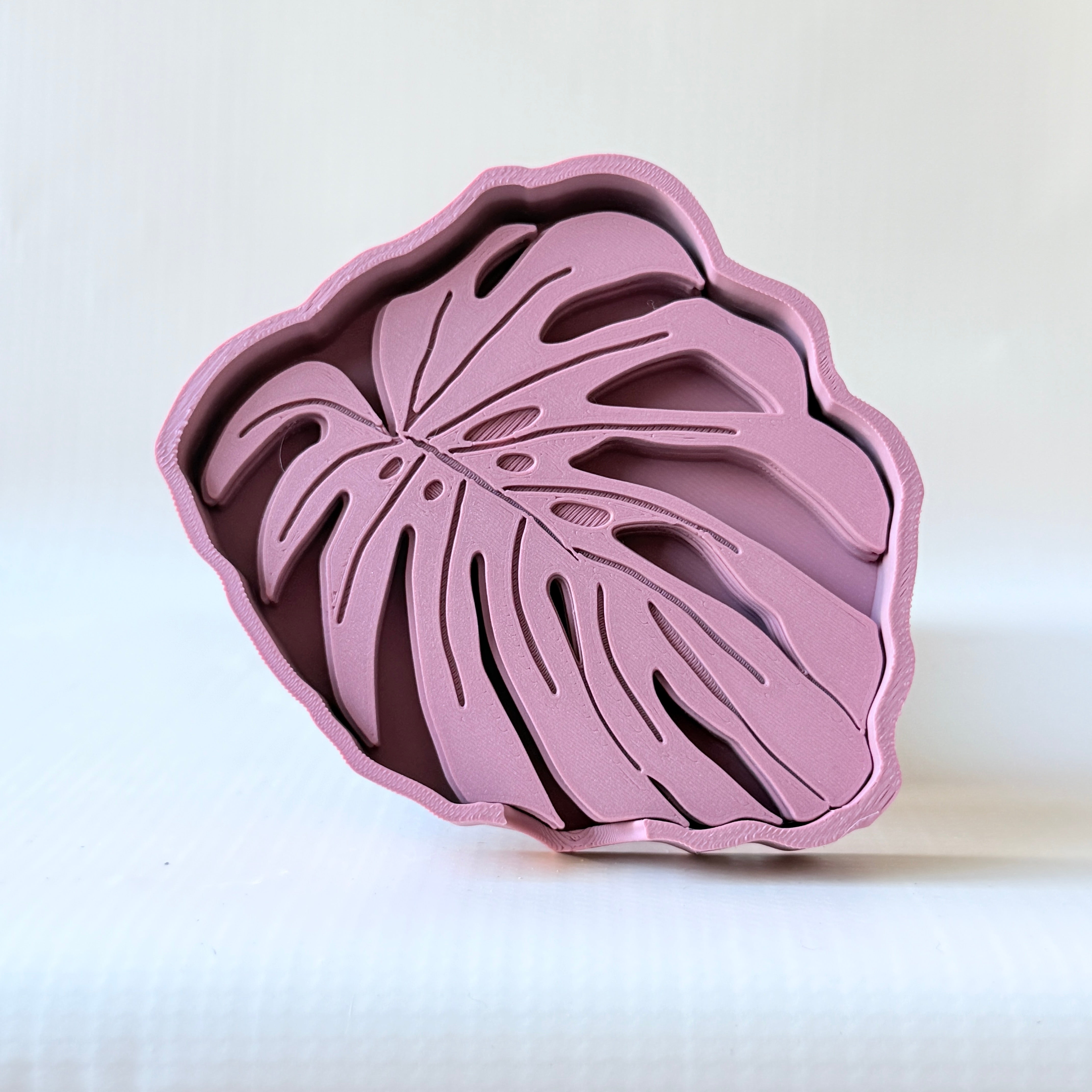 Posavasos Monstera - ¡El Detalle Perfecto para Tu Casa! 🌿✨