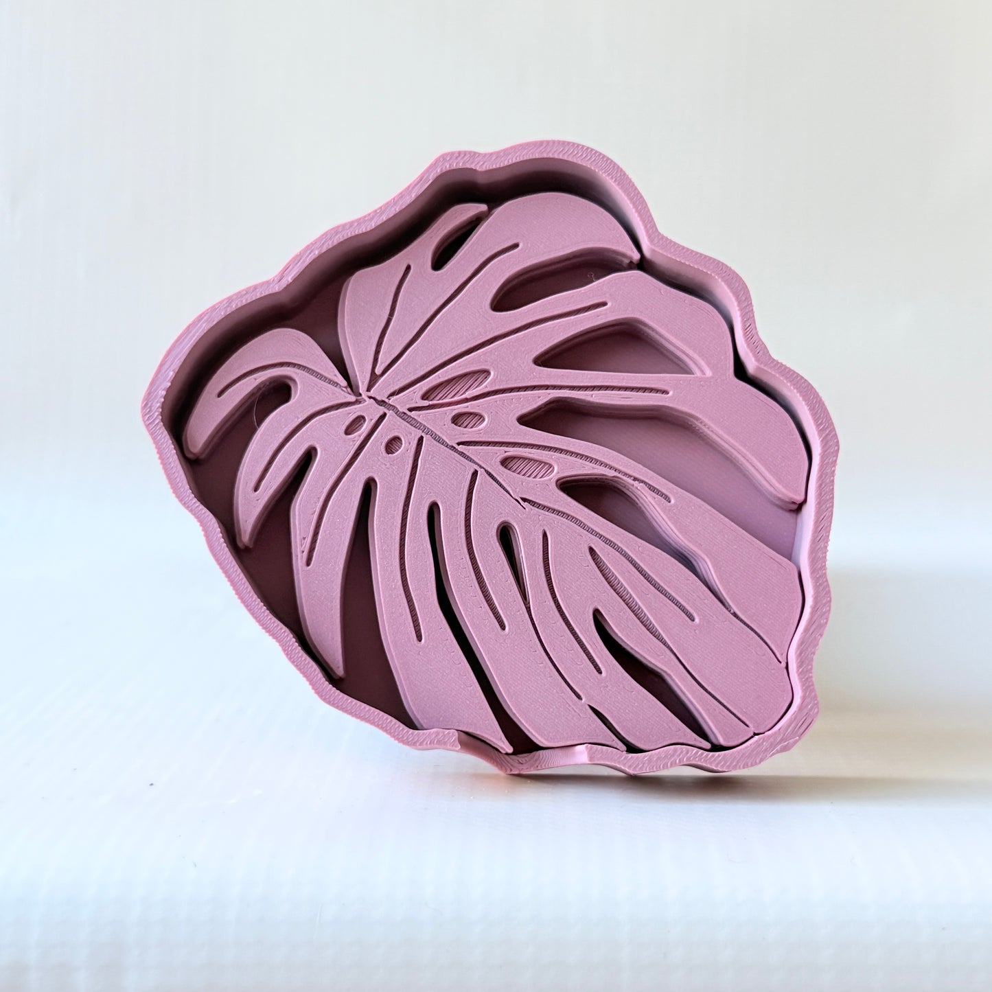 Posavasos Monstera - ¡El Detalle Perfecto para Tu Casa! 🌿✨