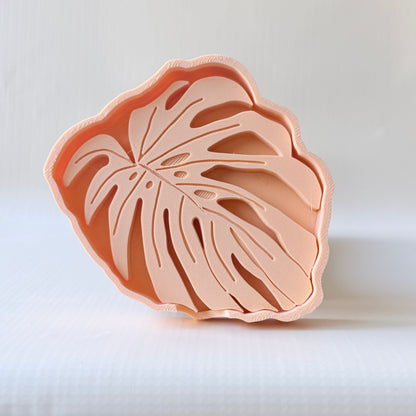 Posavasos Monstera - ¡El Detalle Perfecto para Tu Casa! 🌿✨