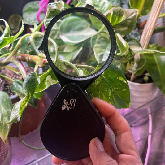 Lupa portátil para plantas 8x6 cm – Detecta plagas fácilmente