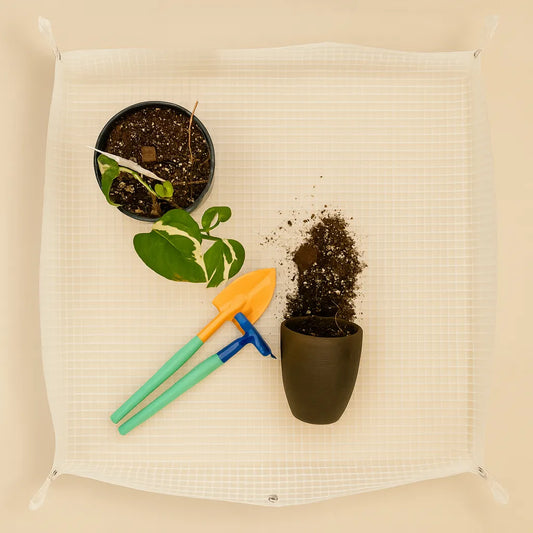 Mat de Jardinería Transparente ACuadros LivingSelva – Orden y Estilo para tu Espacio de Plantas