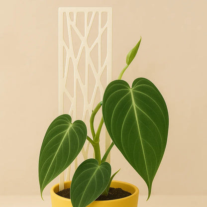 Tutor Plano para Plantas – Soporte 3D Ecoamigable para Plantas