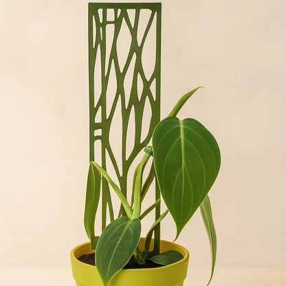 Tutor Plano para Plantas – Soporte 3D Ecoamigable para Plantas