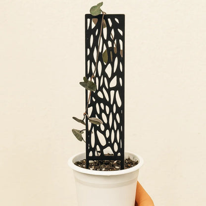 Tutor Pequeñito para Plantas Bebé - Soporte Ideal y Ecológico 🌱💚