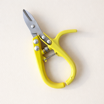 Set para Jardinear Bonito en Verano 🌿