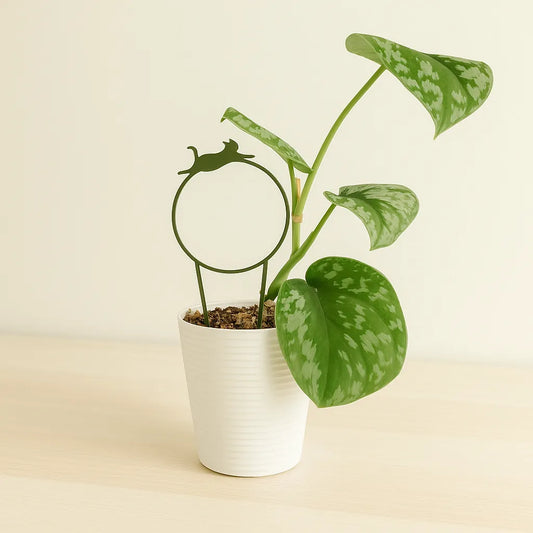 Tutores para Plantas con Diseño de Mascotas – Soporte Decorativo y Funcional