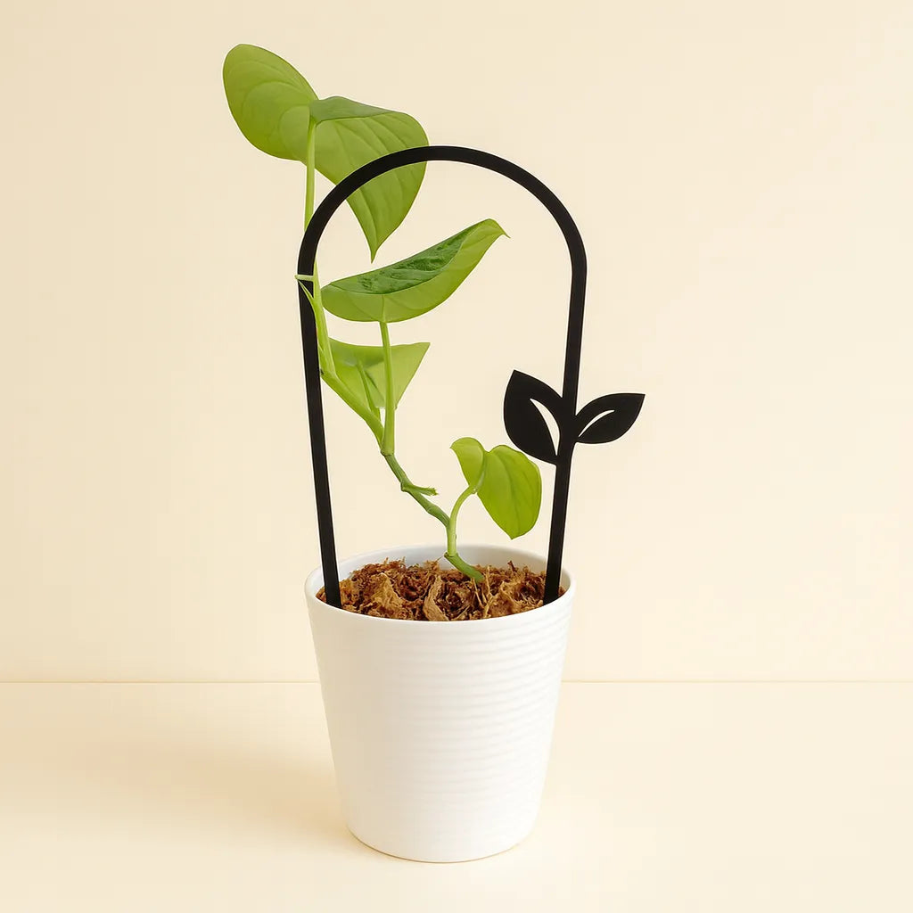 Tutor en Forma de U con Detalle en Hoja - Guía para Plantas Colgantes Impresa en 3D en PLA Ecoamigable 🌿🍃
