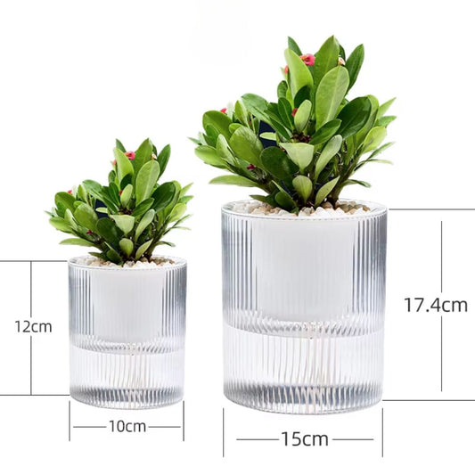 Macetas Cilíndricas Autoregantes Transparentes