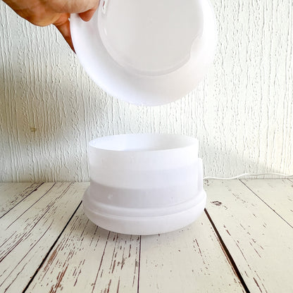 Humidificador Ultrasónico de 500 ml para Plantas - Ideal para Plantas Tropicales