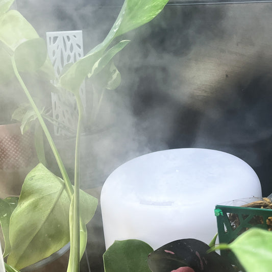 Humidificador Ultrasónico de 500 ml para Plantas - Ideal para Plantas Tropicales
