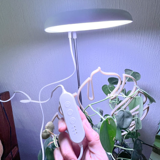 Luz de Crecimiento para Plantas de 10 Watts Full Espectro con Estaca Ajustable y Timer Automático.