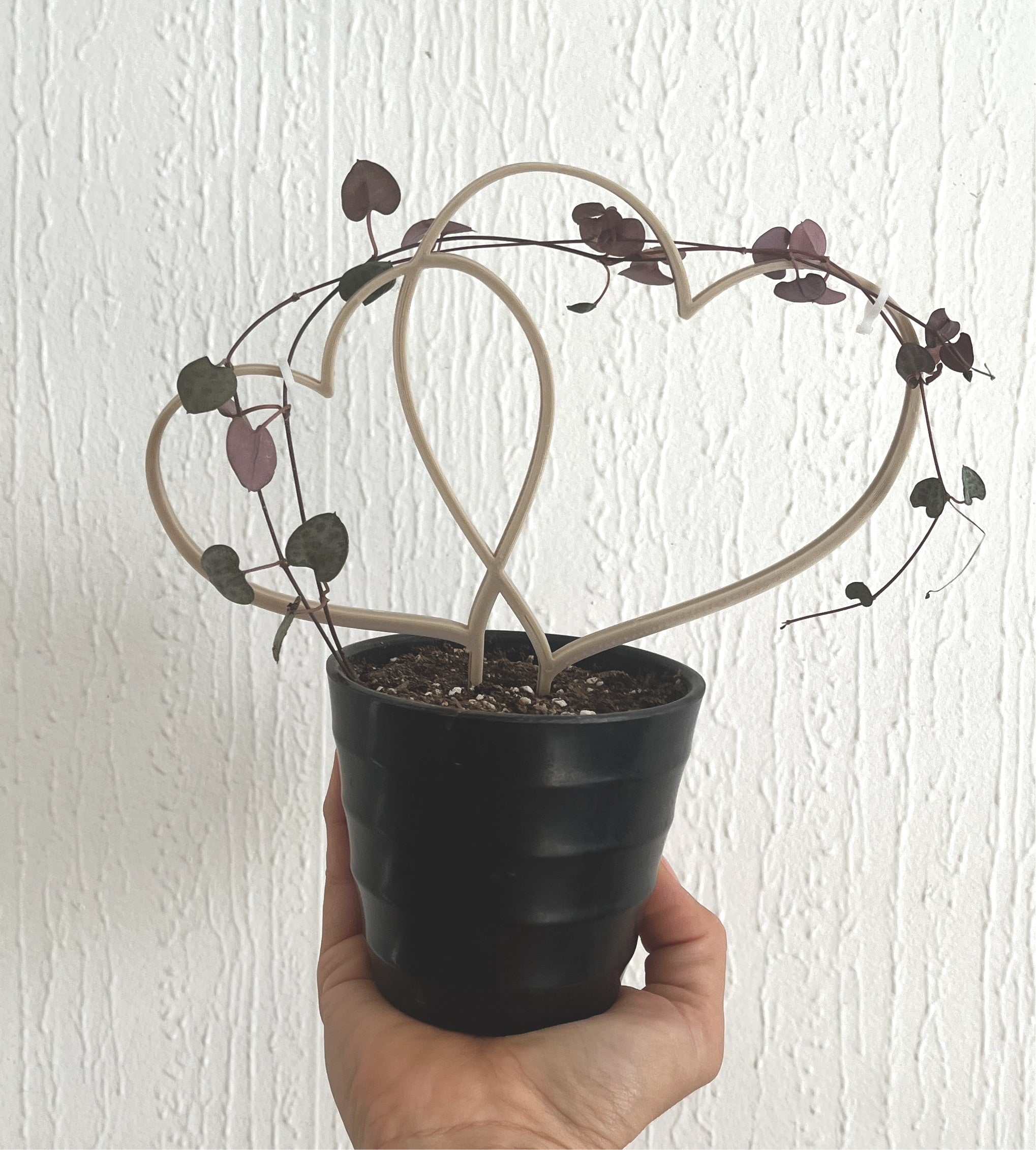 Tutor Corazón Doble - Dale soporte y estilo a tus plantas.