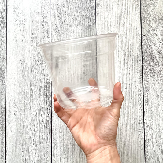 Macetas Plásticas Transparentes: Funcionalidad, simpleza y Elegancia para tus Plantas de Interior