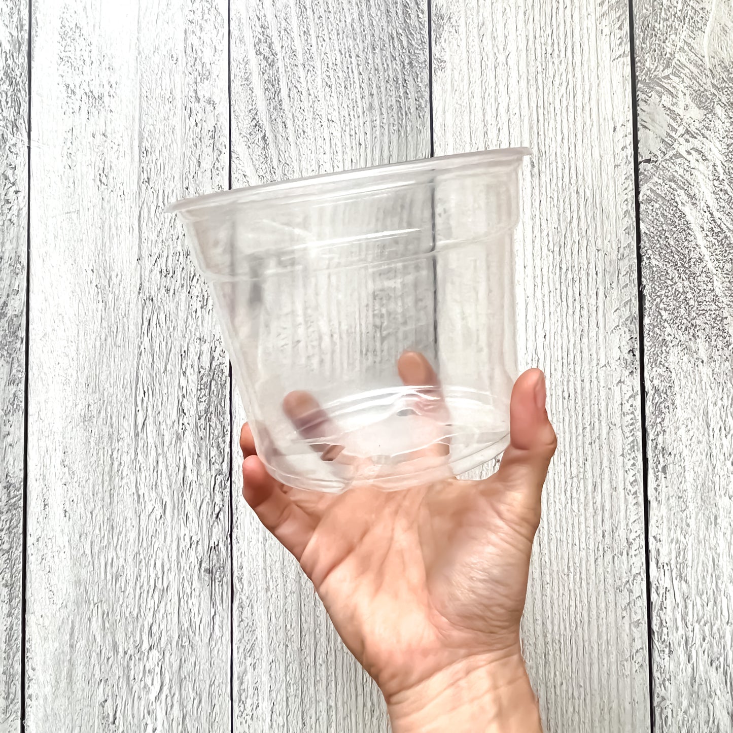 Macetas Plásticas Transparentes: Funcionalidad, simpleza y Elegancia para tus Plantas de Interior