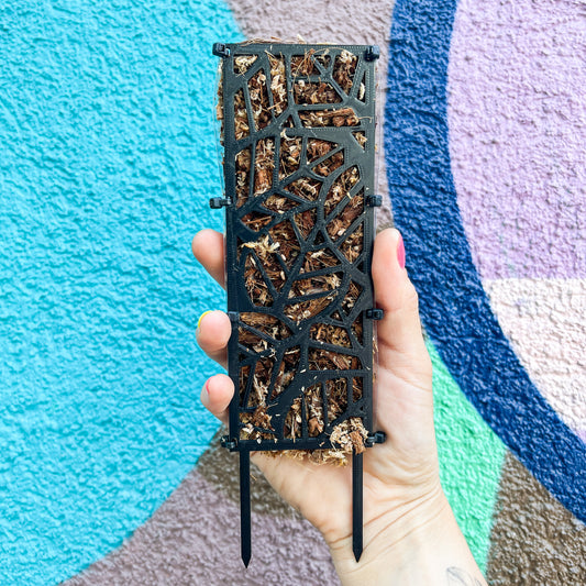 Minitutor de Cocochip - El apoyo que tus plantitas necesitan para crecer fuertes y felices. 🌱