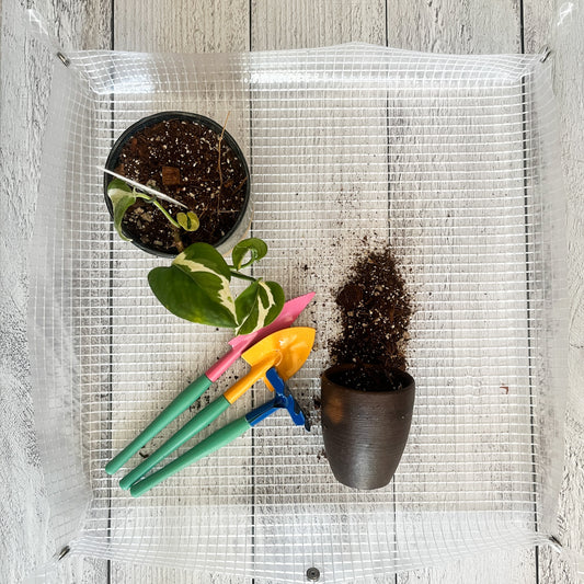 Mat de Jardinería Transparente ACuadros LivingSelva – Orden y Estilo para tu Espacio de Plantas