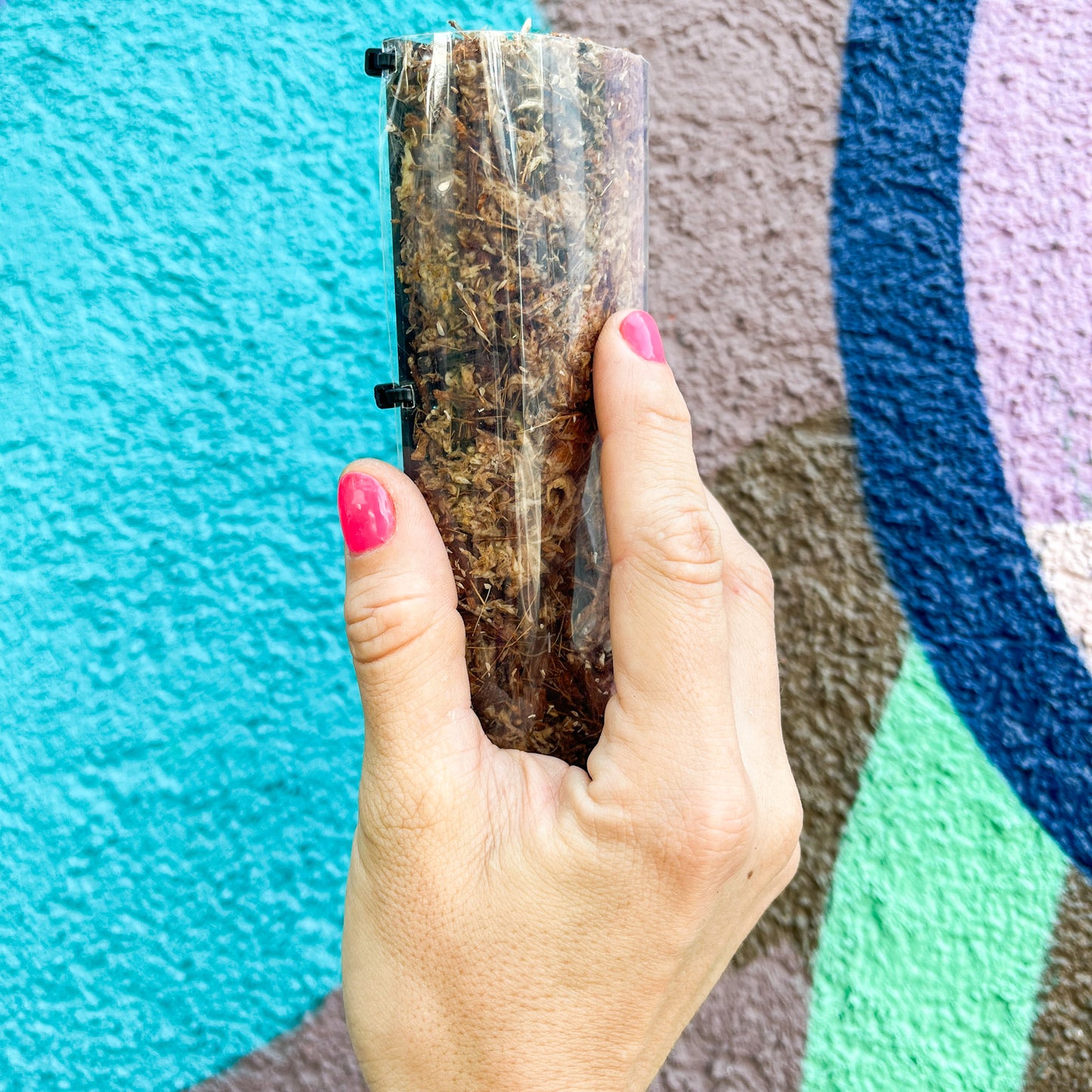 Minitutor de Cocochip - El apoyo que tus plantitas necesitan para crecer fuertes y felices. 🌱