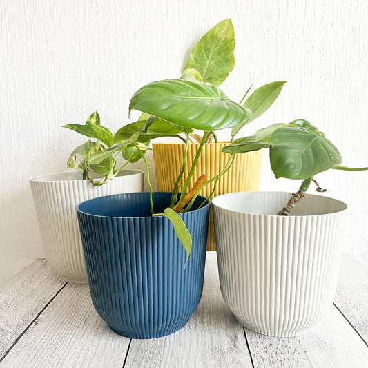 Macetas Ranuradas de Plástico Rígido – Elegancia y Funcionalidad para tus Plantas