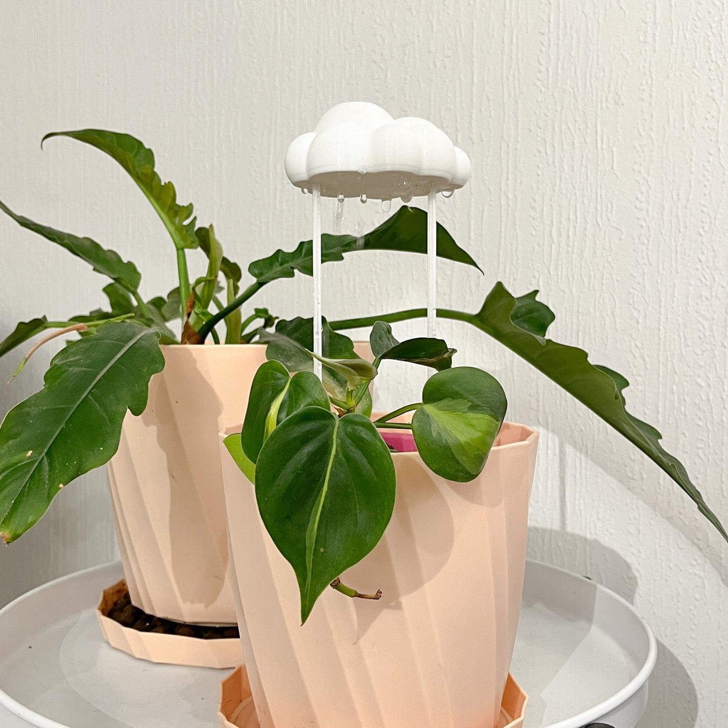 Plantinube - Accesorio de Riego, Diseño Decorativo y Funcional