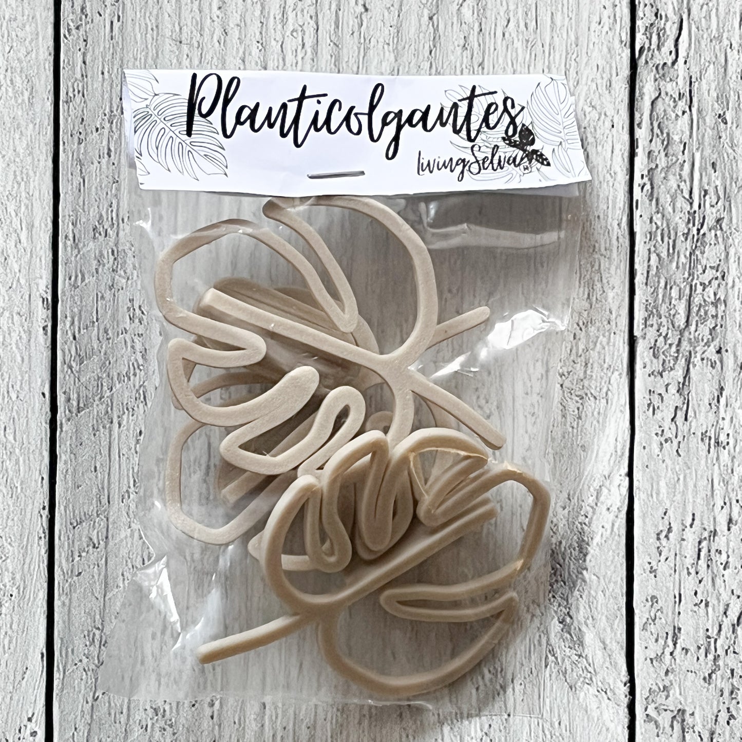 Planticolgantes Monstera - Decoración Original para tu Hogar