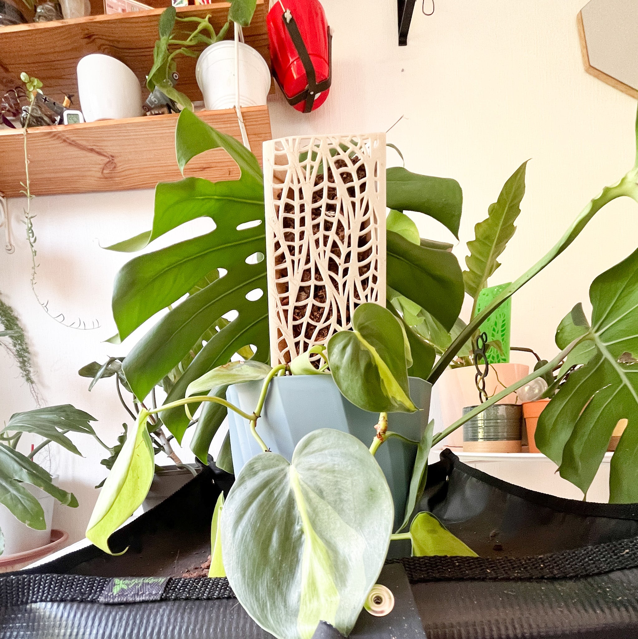 Tutor Armable para Plantas