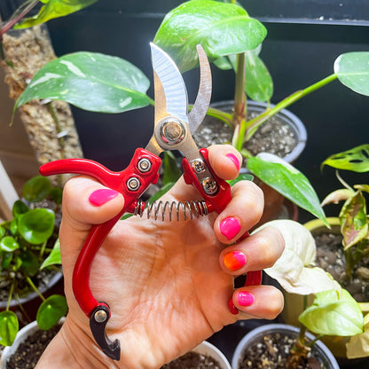 Tijeras para Jardinería: Precisión y Comodidad en Cada Corte