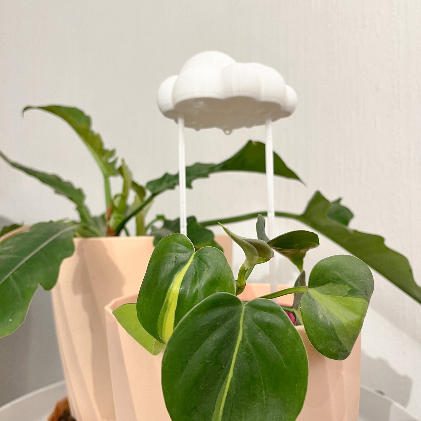 Plantinube - Accesorio de Riego, Diseño Decorativo y Funcional