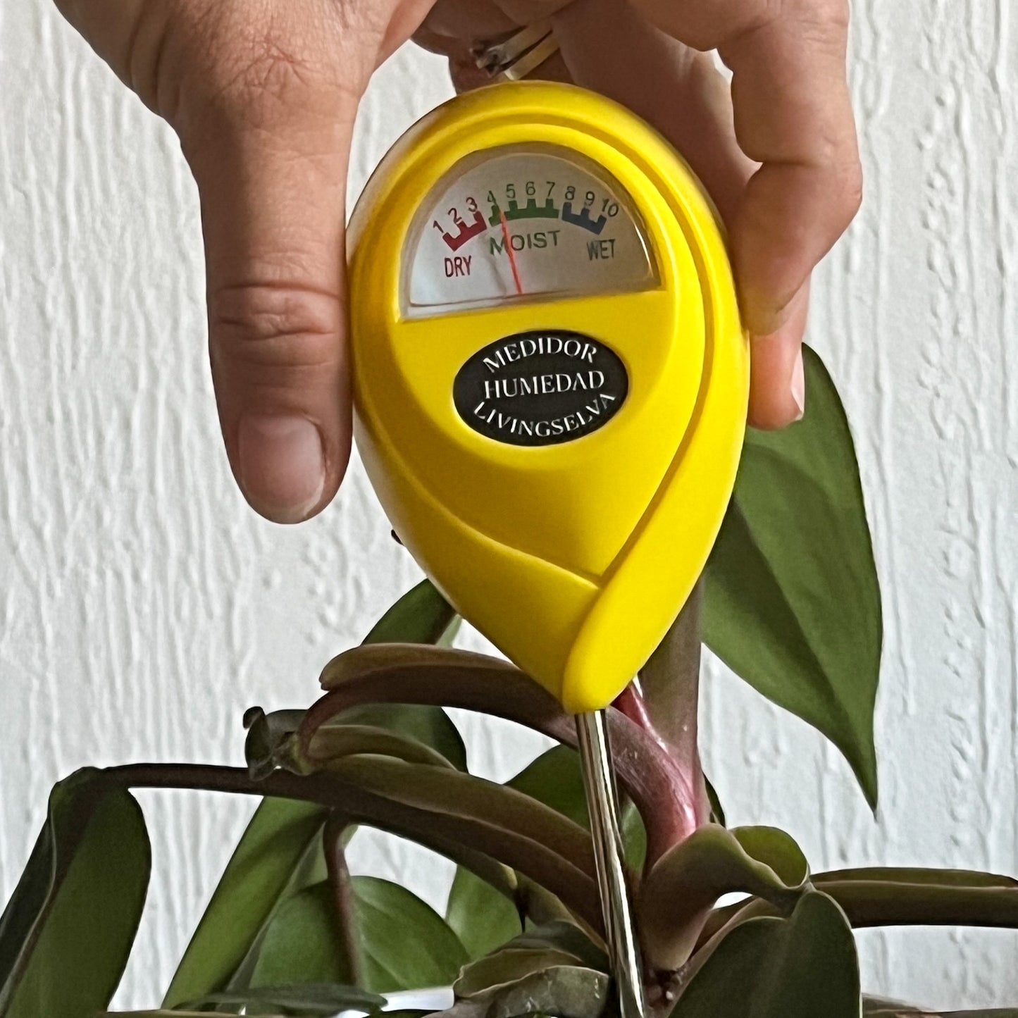 Medidor de Humedad de Plantas Livingselva - Precisión en el Riego sin Pilas