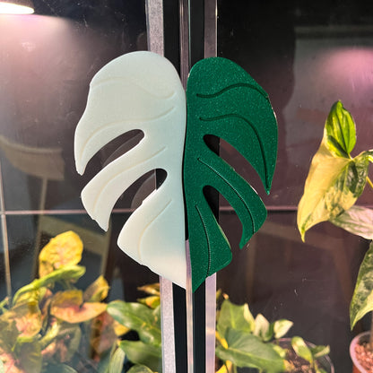 Plantimanilla Monstera para Vitrina Rudsta (Ikea)