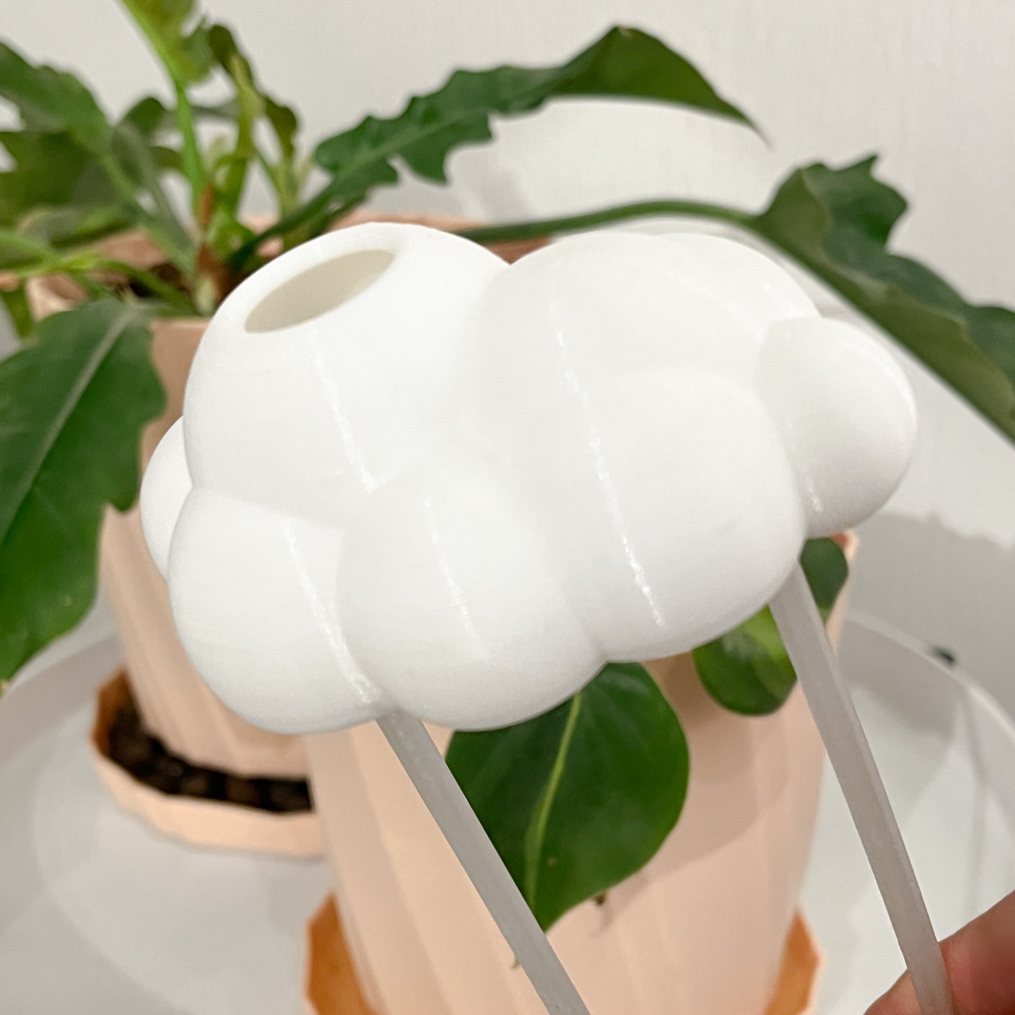Plantinube - Accesorio de Riego, Diseño Decorativo y Funcional