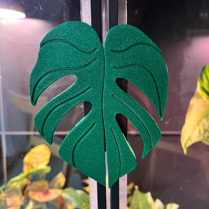 Plantimanilla Monstera para Vitrina Rudsta (Ikea)