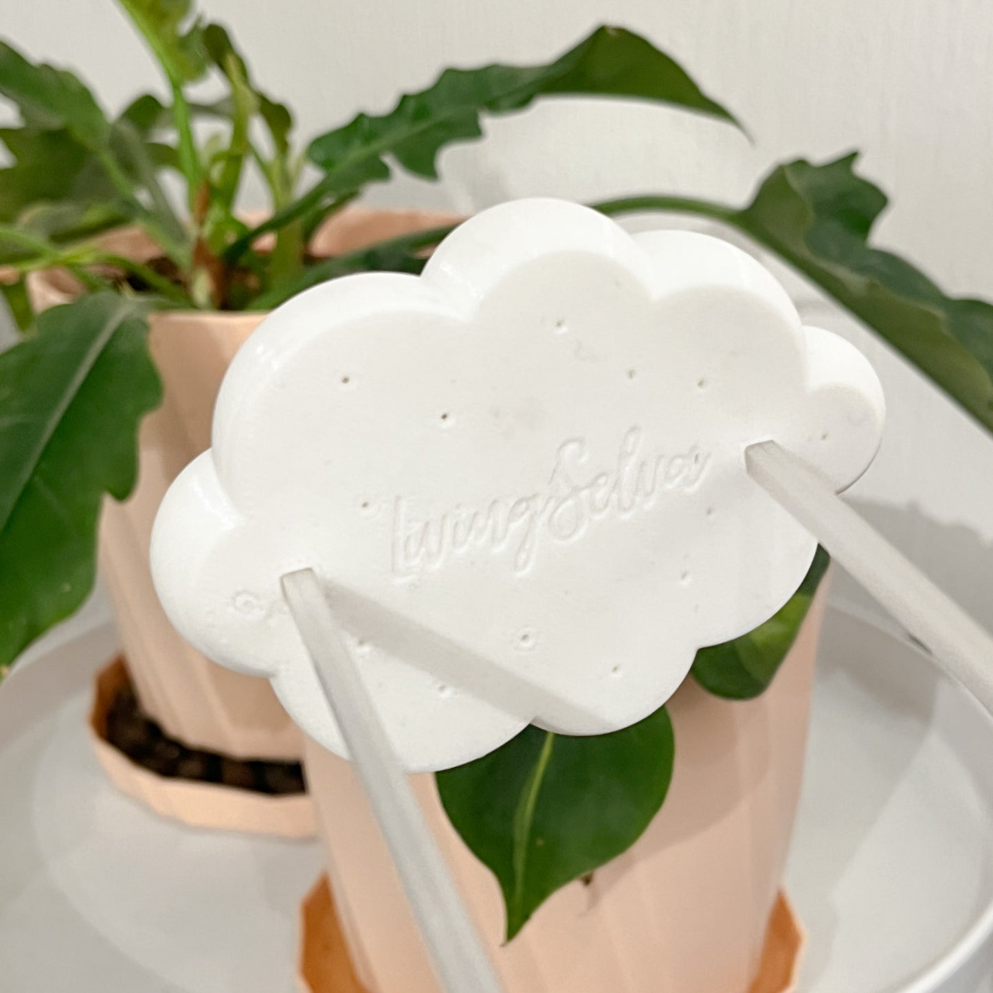 Plantinube - Accesorio de Riego, Diseño Decorativo y Funcional