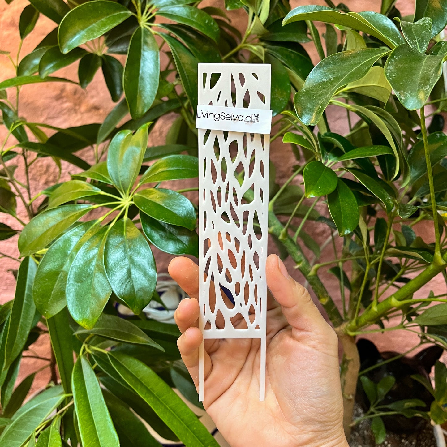 Tutor Pequeñito para Plantas Bebé - Soporte Ideal y Ecológico 🌱💚